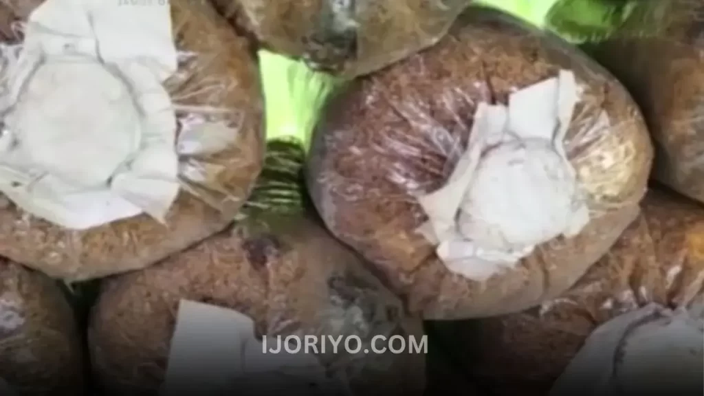 Challenges of Oyster Mushroom Cultivation